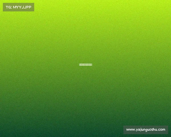 电子竞技有没有出路